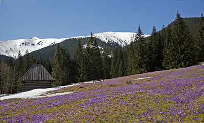 Пансионаты в Польше - Закопане и Окрестности
